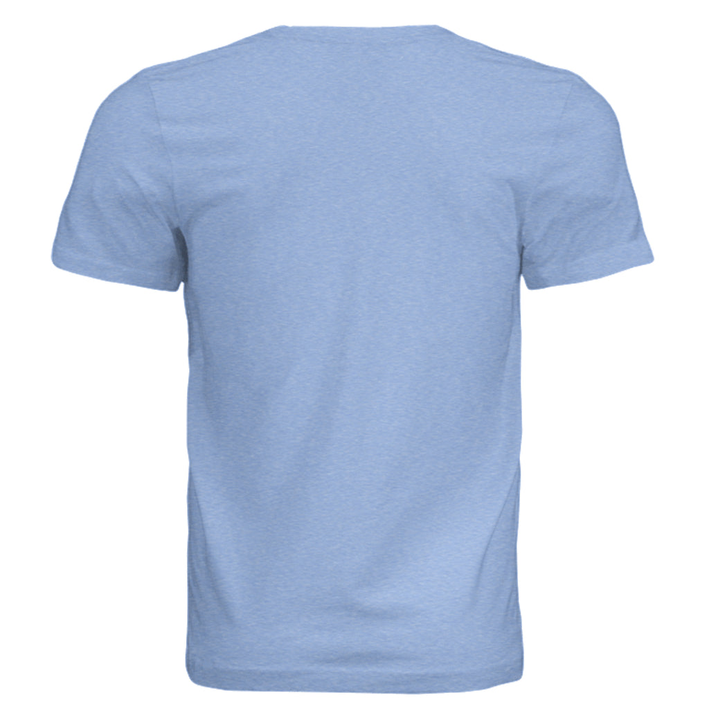 BLUE TRBLND - 3413C - BACK